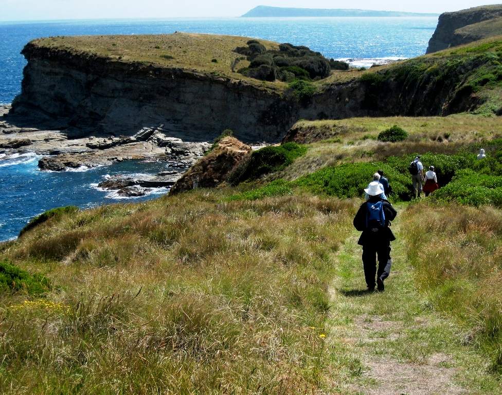 George Bass Coastal Walk near Kilcunda on Explore Wilsons Promontory Walk 