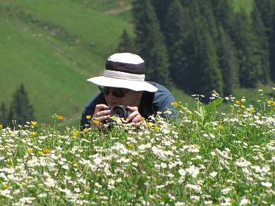 Smelling the mountain flowers Switzerland