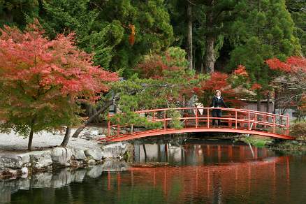 Japanese Autumn colours