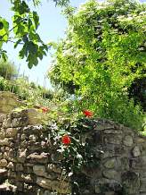 Medieval walls of the garden