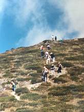 The walk back from Mt Feathertop 1991