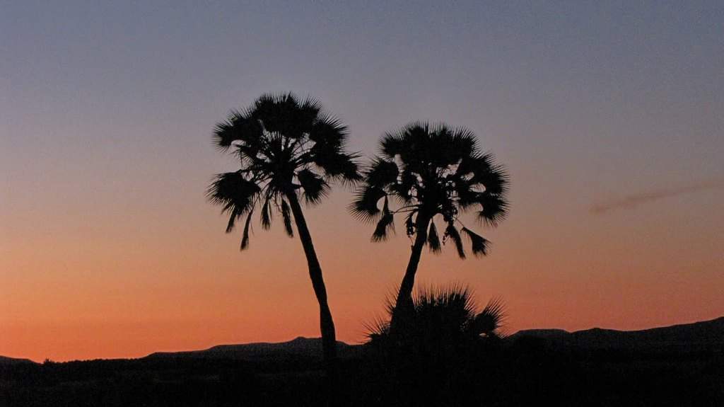 Sunset at Palmwag Namibia.JPG