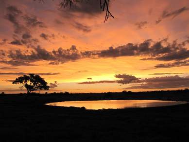Amazing sunset Etosha NP