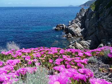 Walking on the Island of Elba Italy