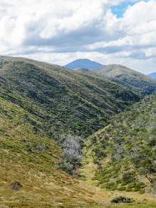 View across mountain range towards Mt Feathertop