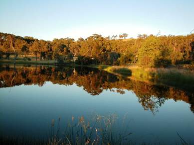 Reflections on the Tambo River in East Gippsland