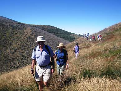 Walking Track to Mt Feathertop