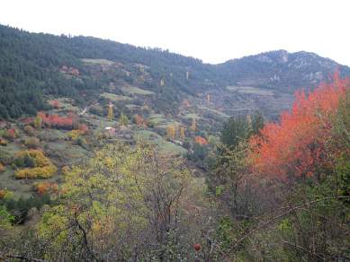 Autumn colours in the Pyrenees