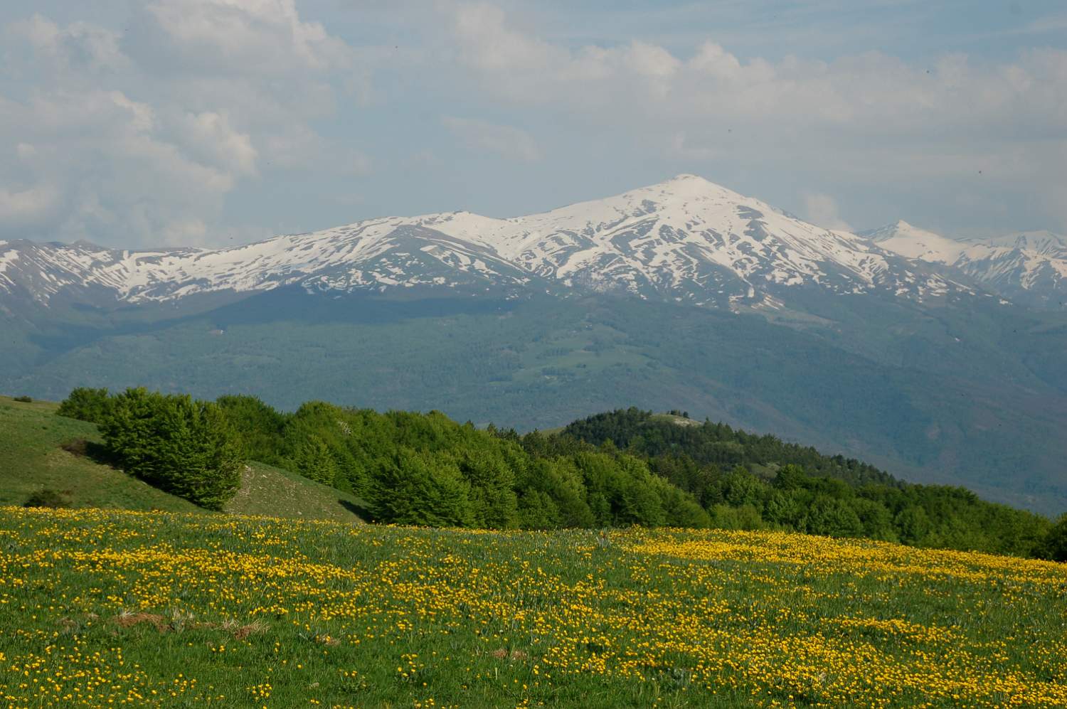 Mountain ridge in the Sibillini National Park Italy.JPG