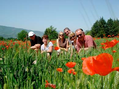 In the poppies Gargano Promontory Puglia Italy