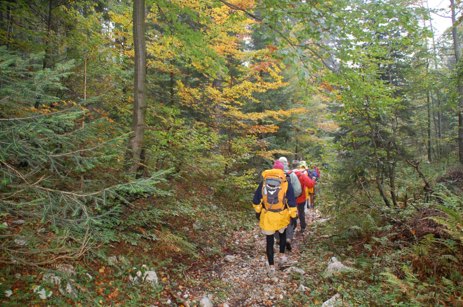 Autumn colours in Triglav National Park Slovenia.JPG