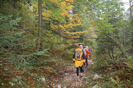 Autumn colours in Triglav National Park Slovenia