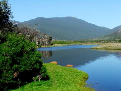Reflections on Tidal River