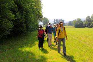 Collecting wild herbs with Ulla Menke near Fischbachau Upper Bavaria