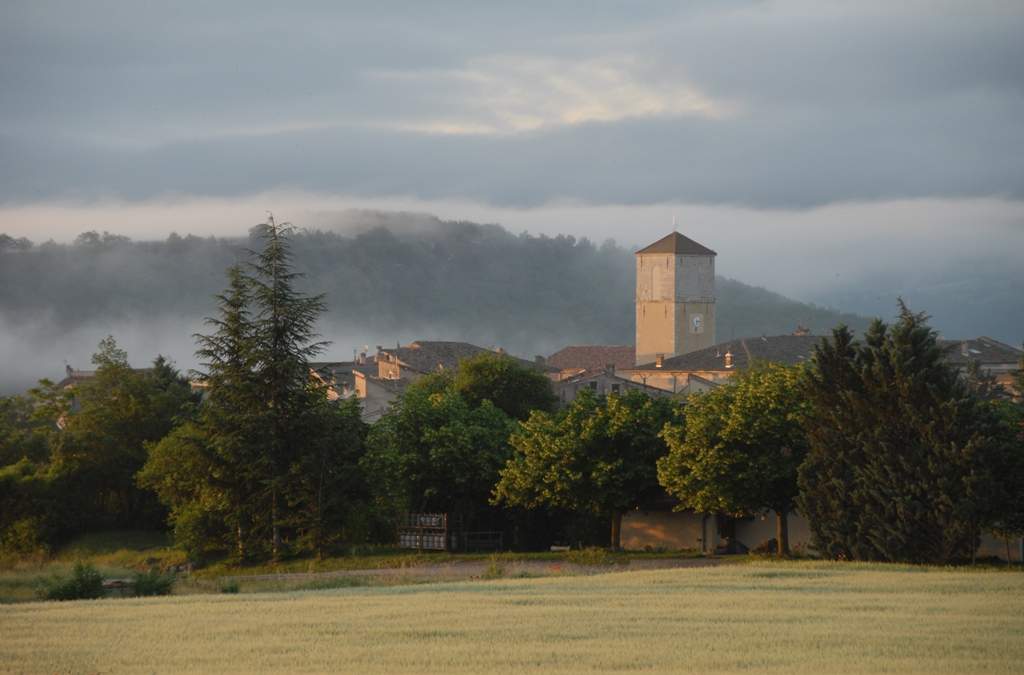 Morning mist in Provence.jpg