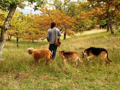 Searching for truffles with our late friend Etienne
