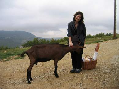 Visiting a goat cheese farm near Forcalquier