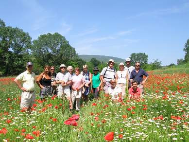 In the poppies in Tuscany