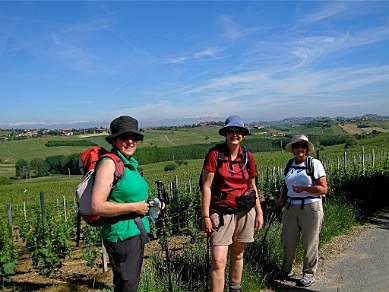 Walking through the vineyards of Piedmont