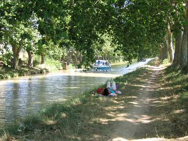 Canal du Midi under the plane trees