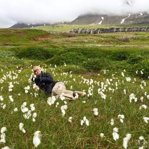Relaxing in the Bog-Cotton near Seyoidisfjordur Iceland