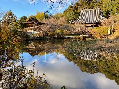 Reflections near Nara