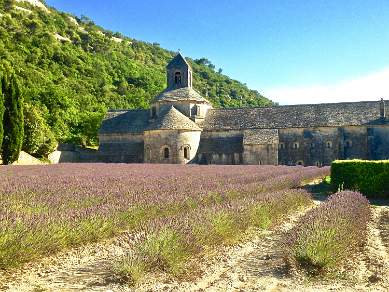 Abbey of Senanque Provence France