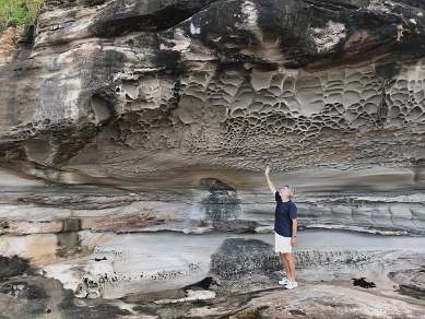 Rocks at Ku-ring-gai Chase National Park