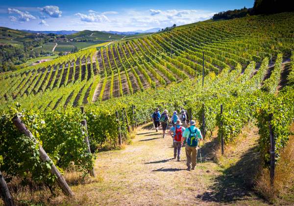 Discover the Piedmont Discover the Piedmont Walking Cooking Tour Piedmont, Italy - Cooking and Walking in Alba, Barolo and Barbaresco.