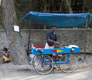 Public Ironing Station, Kerala