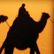 Camel ride in the Sahara Morocco