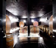 Réva Wine Cellar in  Monforte d'Alba Piedmont Italy