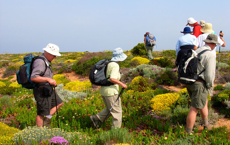 Tip toeing through the flowers near Sagres Algarve Portugal