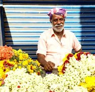 Flowers at Munnar Market, Kerala