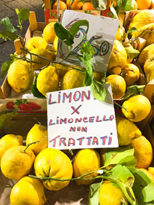 Walking food tour Umbria Amalfi Coast