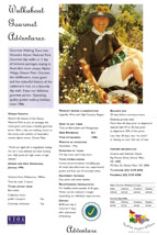 14. Gourmet Walking tours