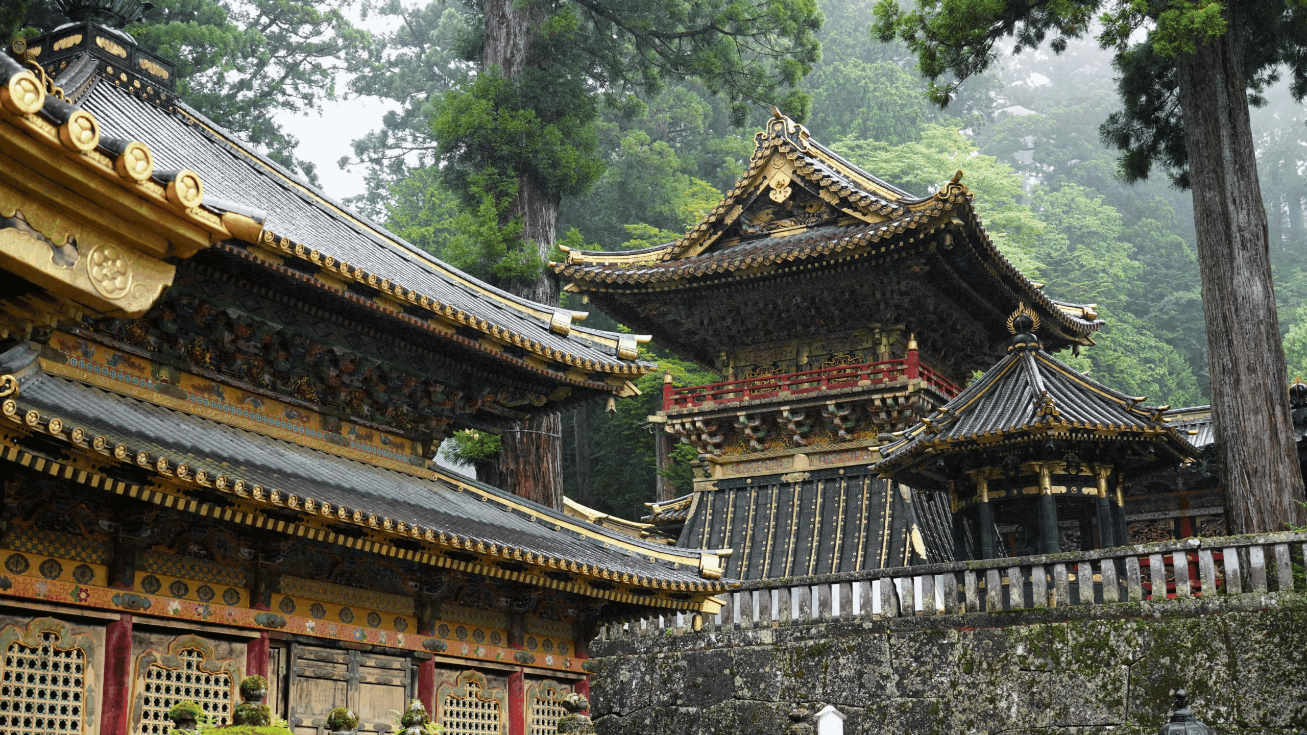 Untitled design (19)