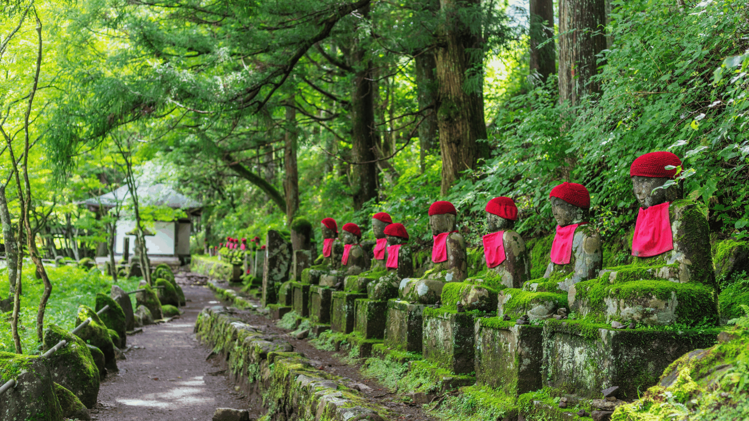 Untitled design (20)