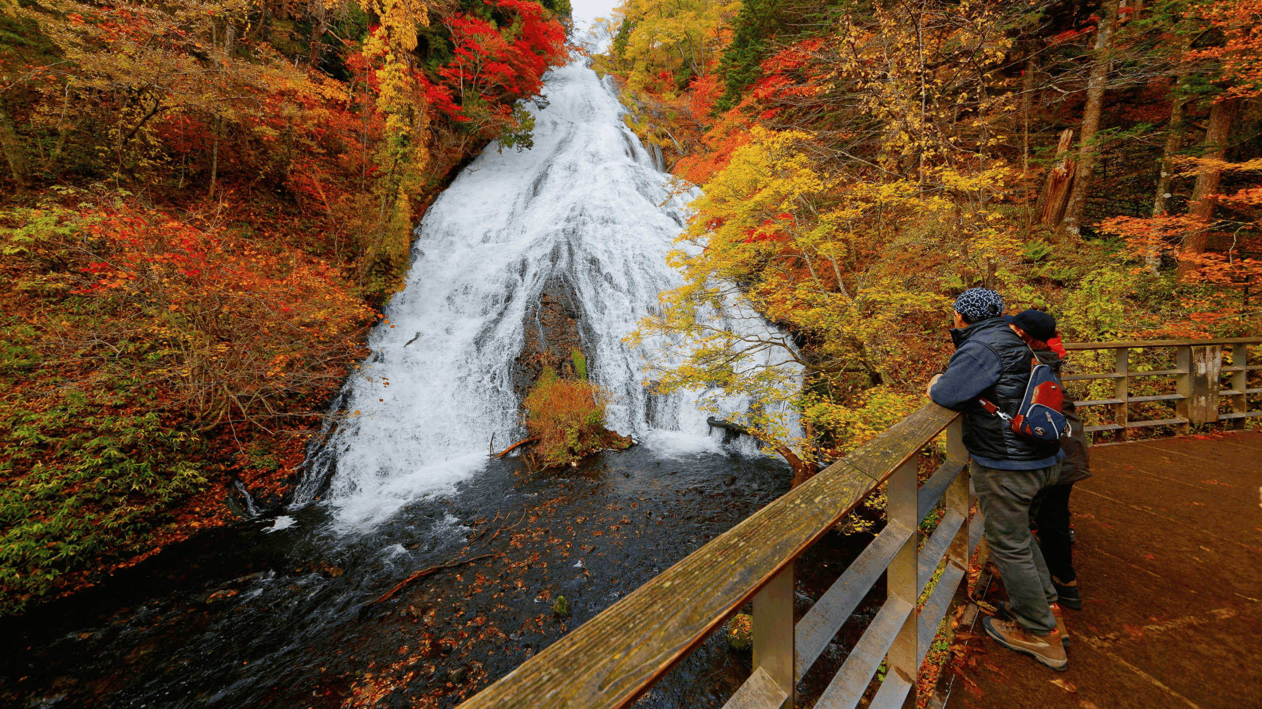 Untitled design (21)