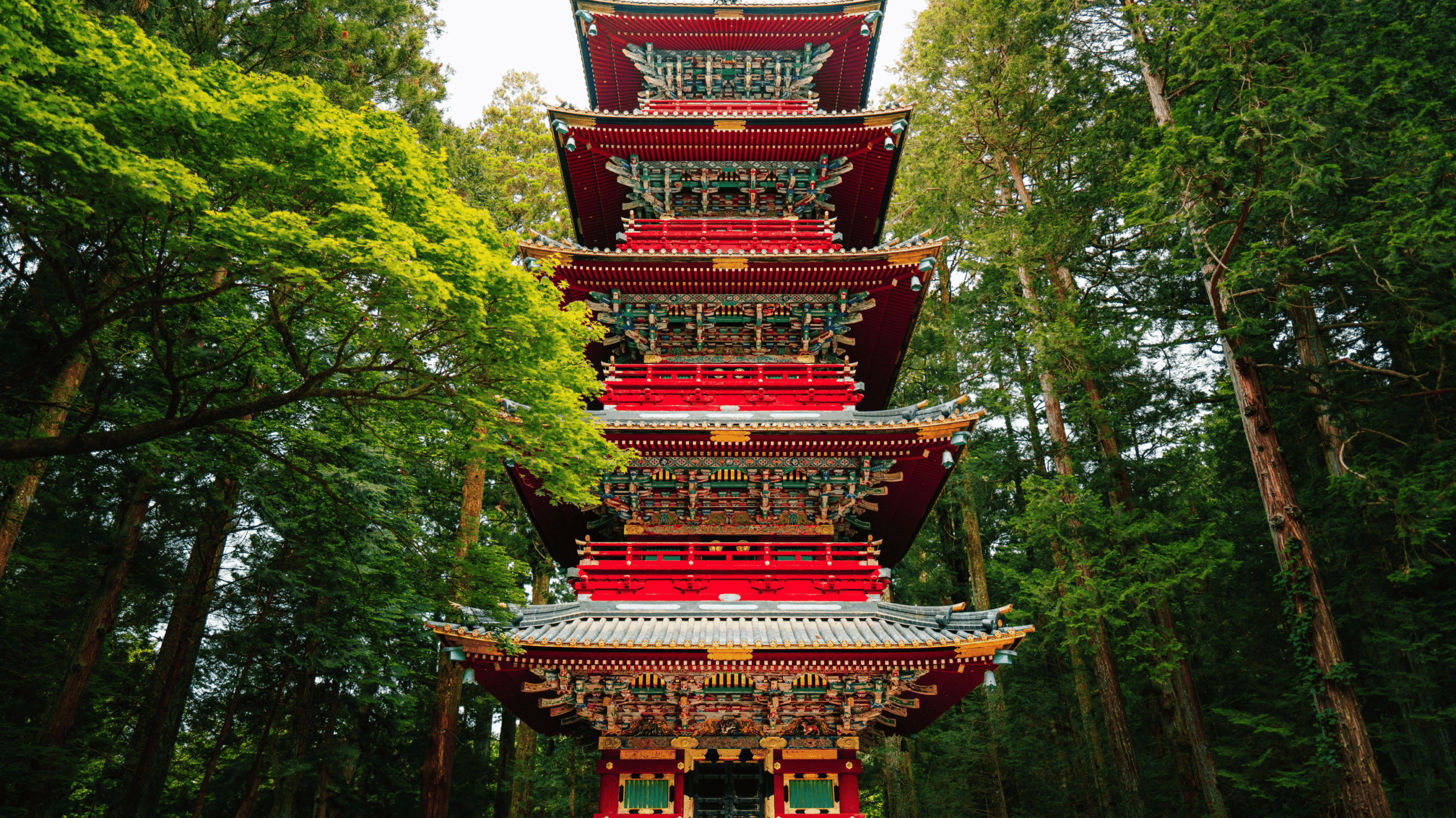 Untitled design (22)