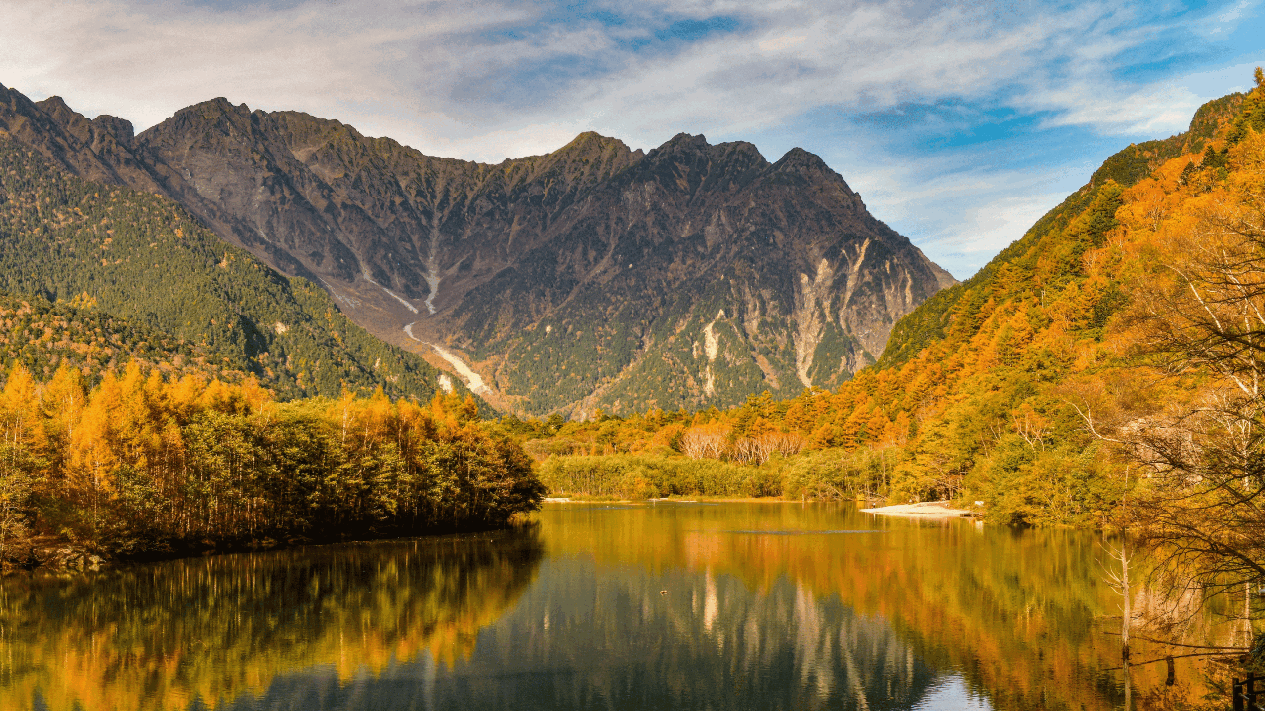 Untitled design (25)