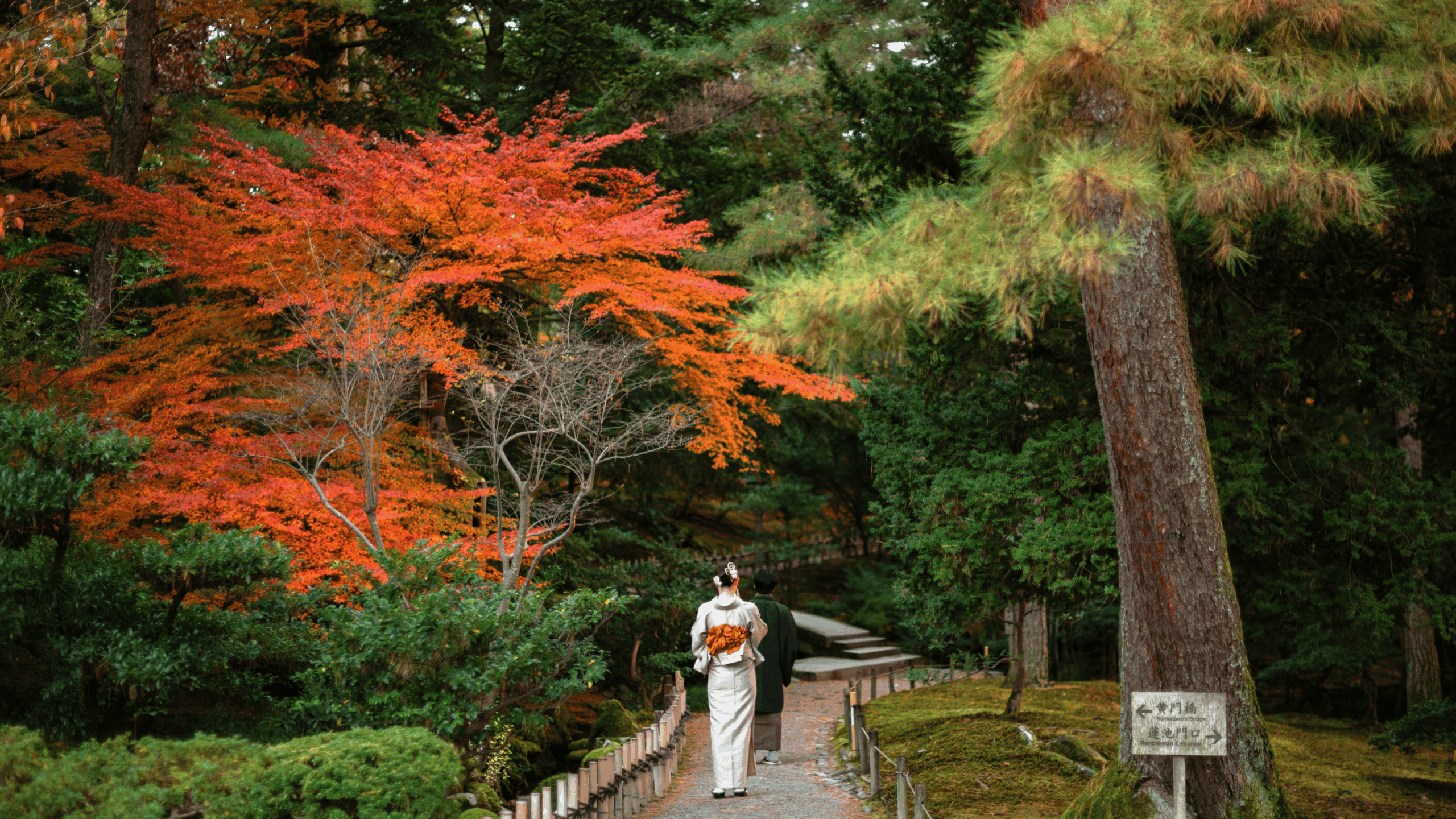 Untitled design (26)