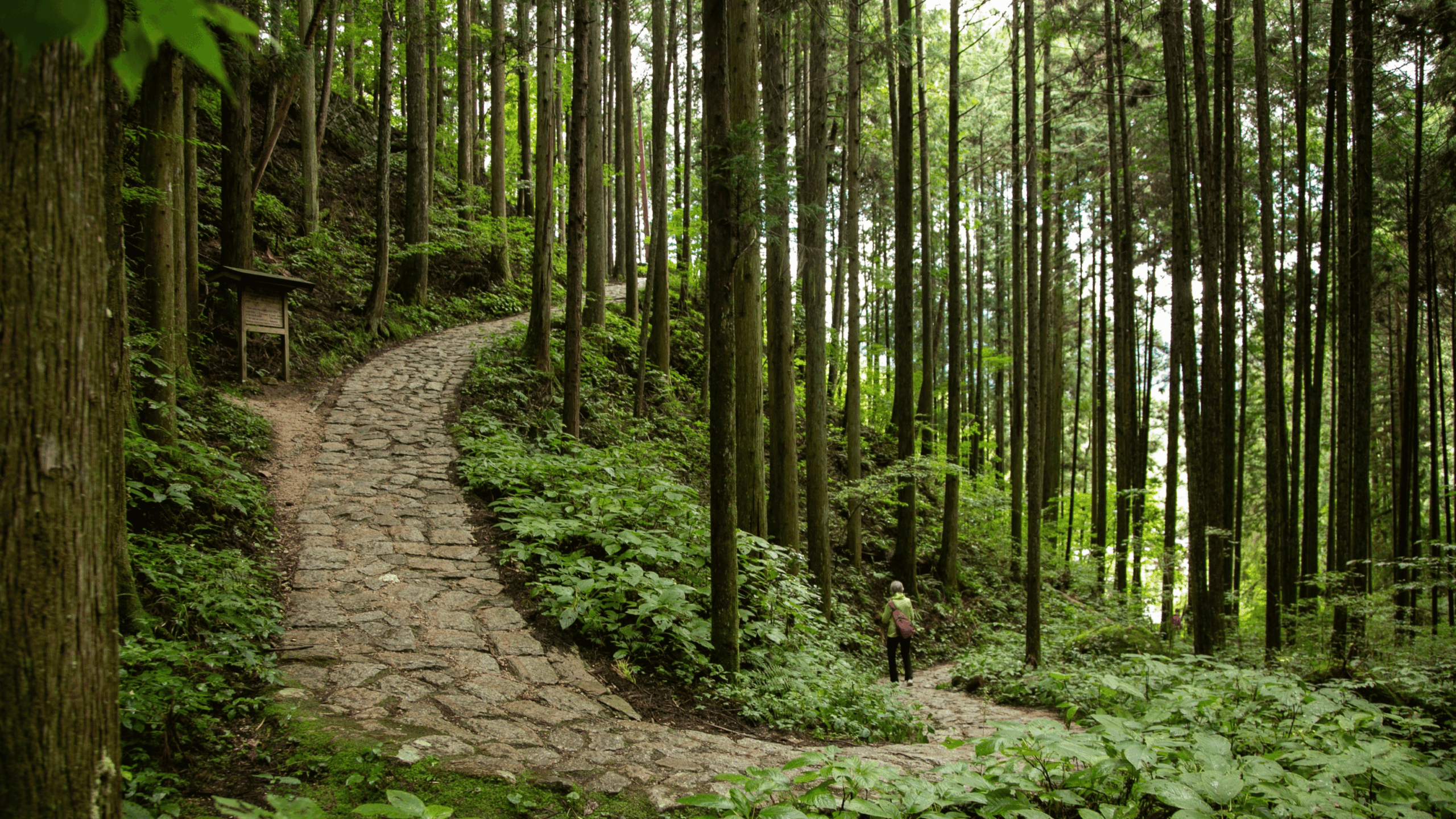 Untitled design (27)