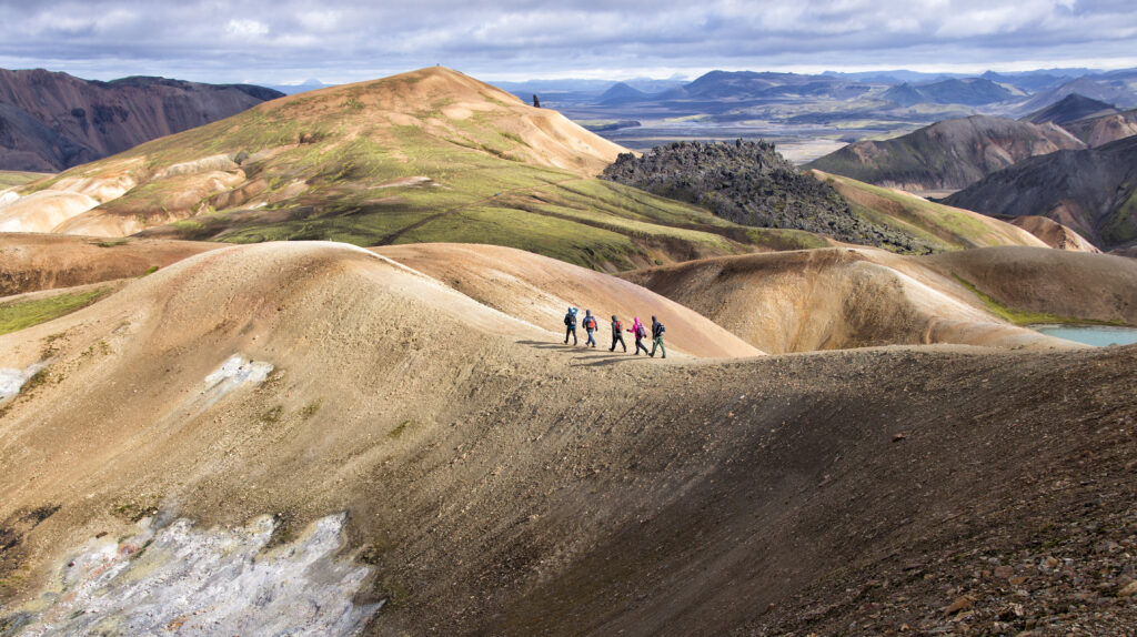 shutterstock 2016719879