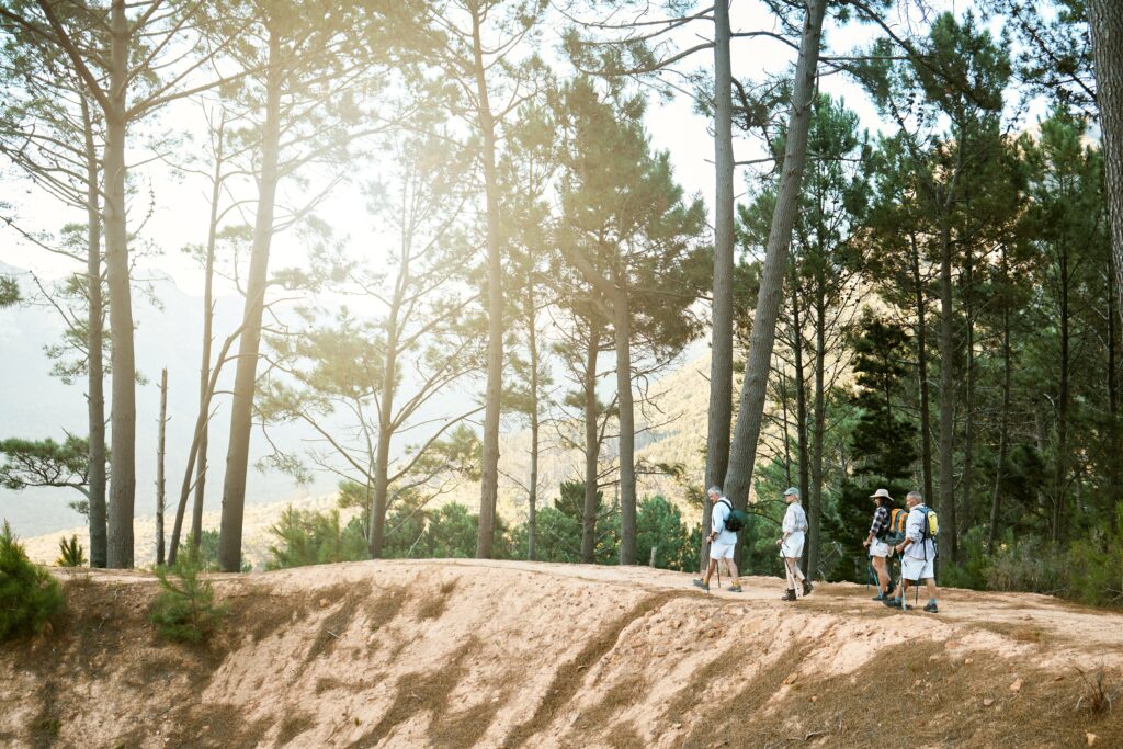 shutterstock 2191879493