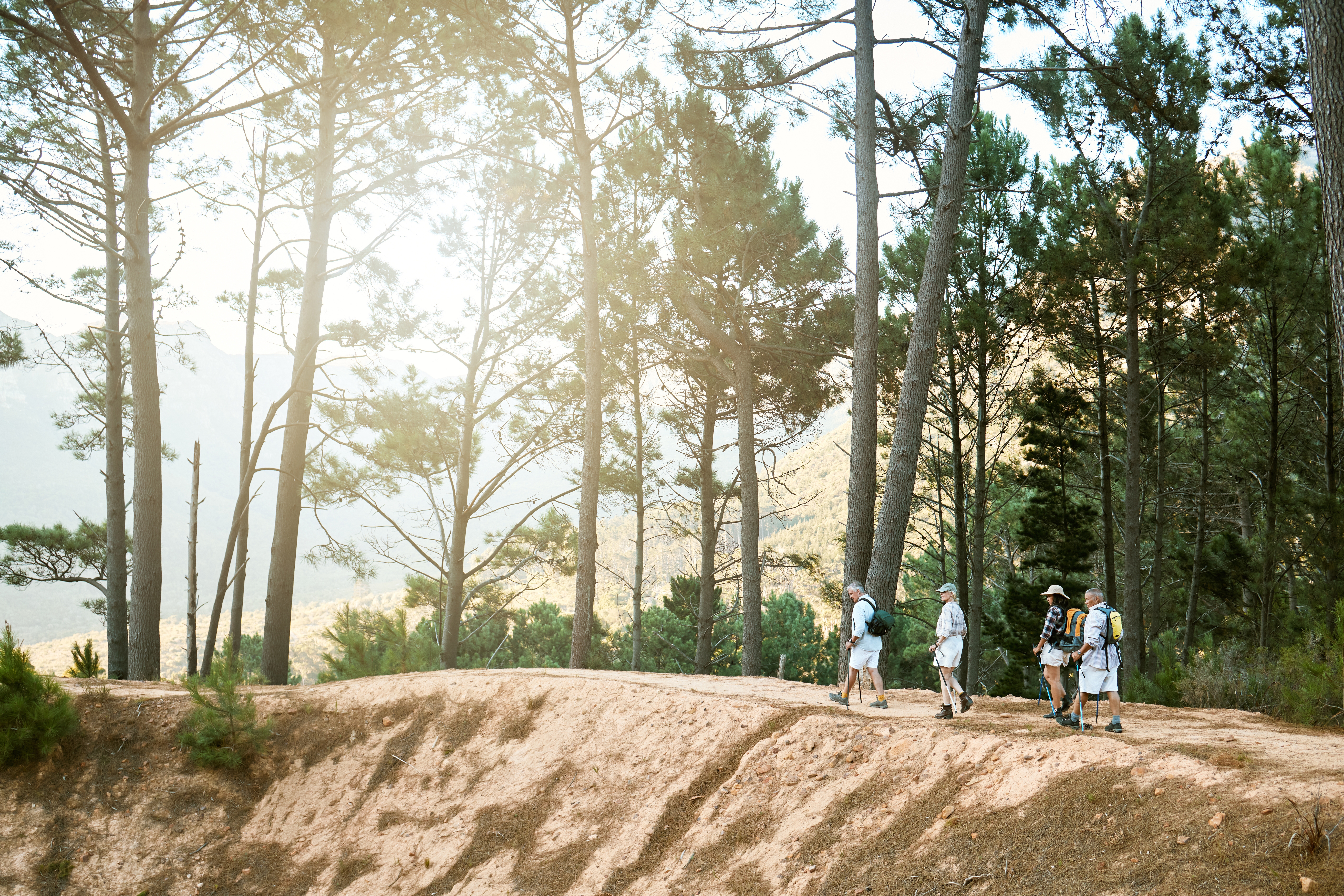 shutterstock 2191879493