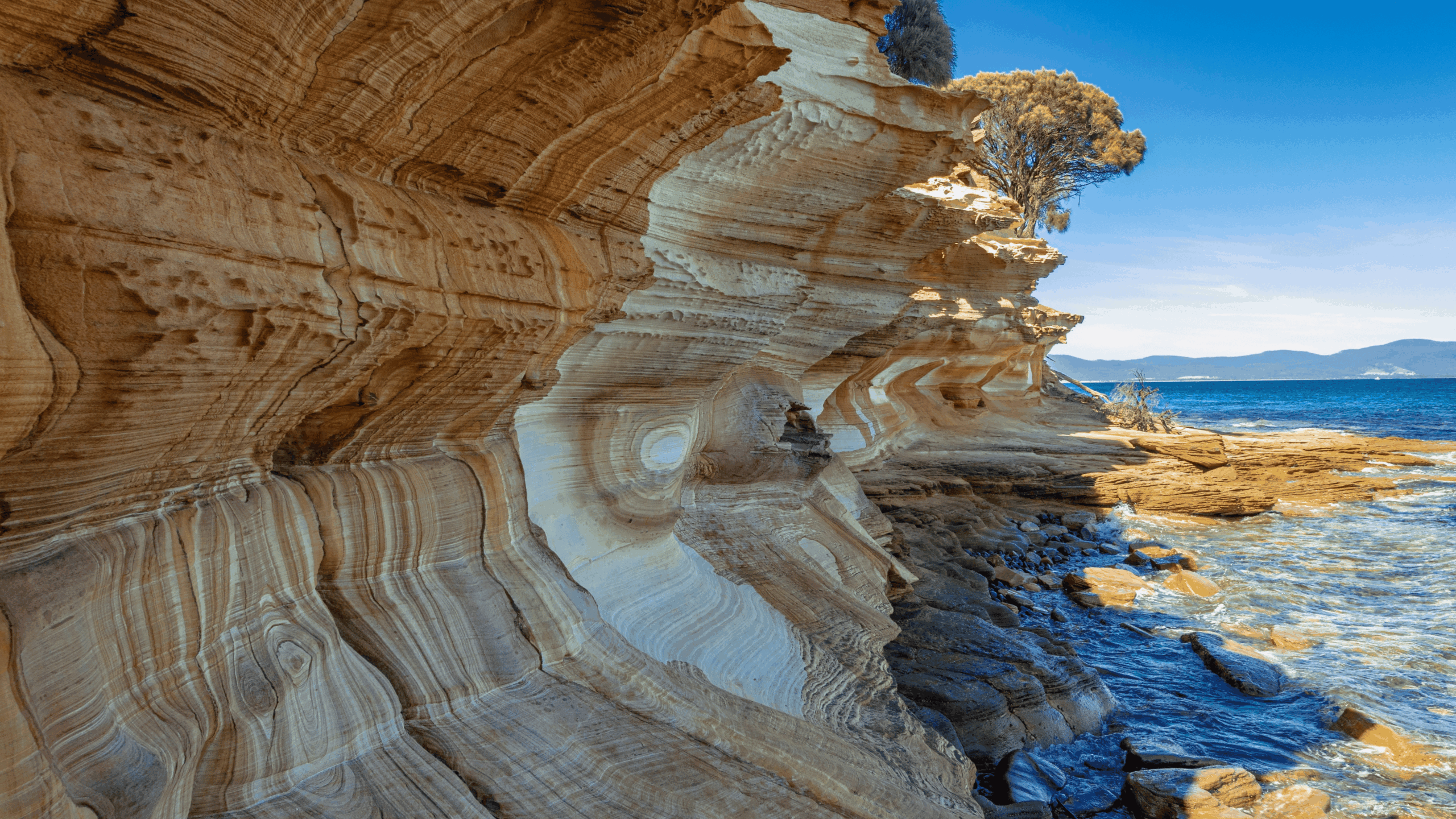 Treasures of Tasmania 14 10