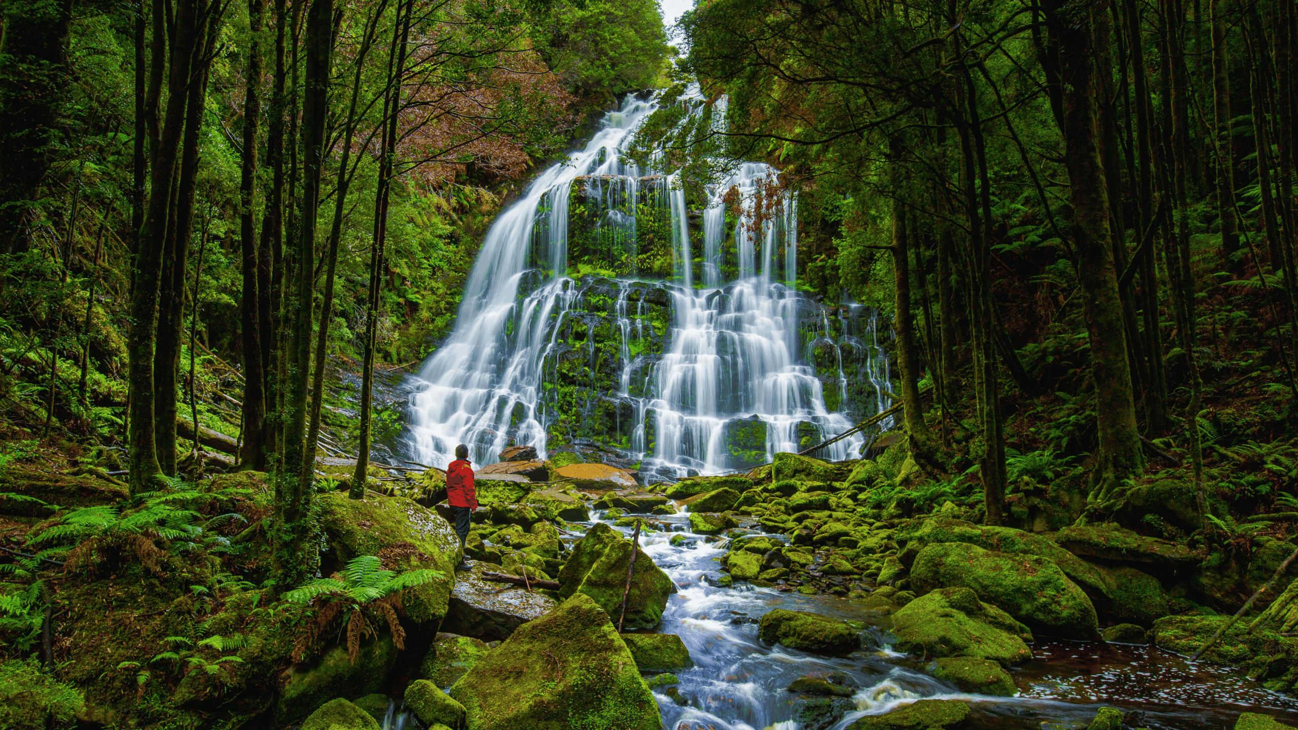 Treasures of Tasmania 11 13