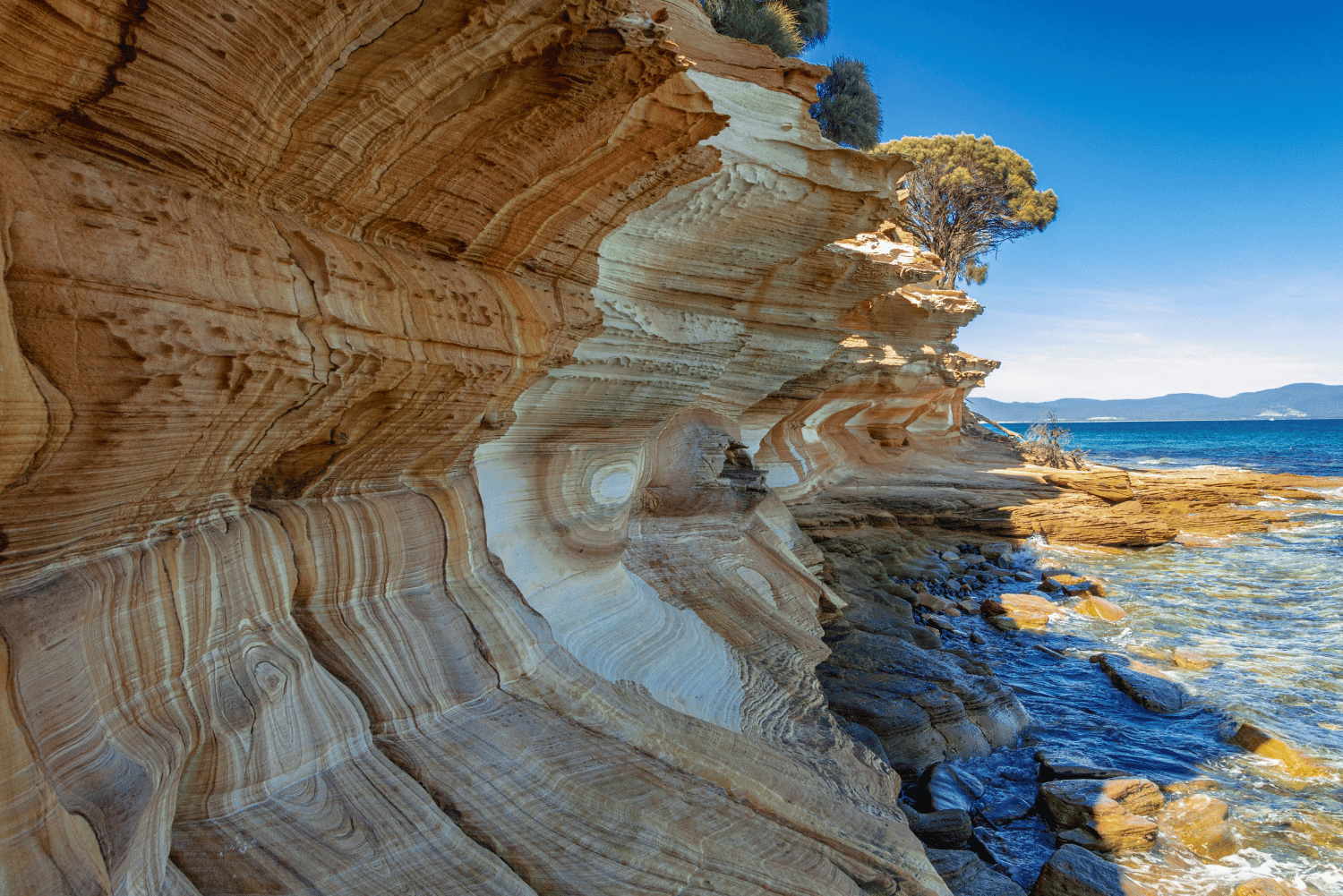 Treasures of Tasmania 15 13
