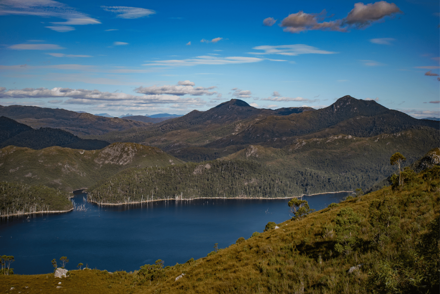 Treasures of Tasmania 25 20